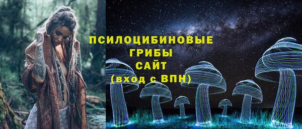 дурь Алексеевка